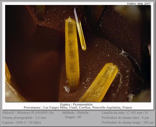 Pyromorphite<br />Les Farges Mine (Des Farges Mine), Ussel, Corrèze, Nouvelle-Aquitaine, France<br />fov 3.5 mm<br /> (Author: ploum)