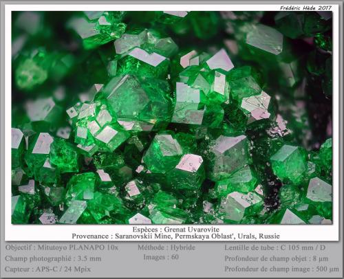 Uvarovite<br />Mina Saranovskii, Saranovskaya (Sarany), Gornozavodskii, Perm Krai, Ural, Rusia<br />fov 3.5 mm<br /> (Author: ploum)