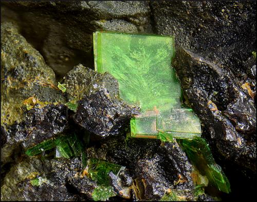 Torbernita<br />Obejo Mine, Valdelagrana, Andújar, Comarca de la Campiña, Jaén, Andalusia, Spain<br />Campo de visión de 2 mm.<br /> (Autor: Antonio Carmona)