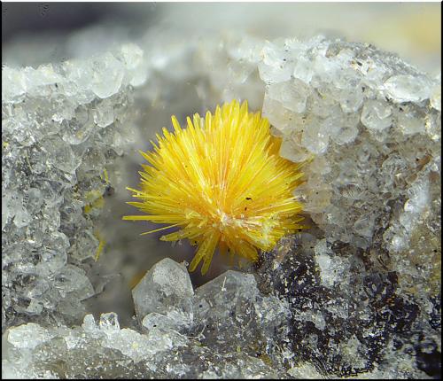 Kasolita<br />San Rafael Mine, Cardeña, Comarca Los Pedroches, Córdoba, Andalusia, Spain<br />Campo de visión de 2 mm.<br /> (Autor: Antonio Carmona)