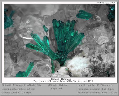 Dioptase on Calcite<br />Mina Christmas, Christmas, Distrito Banner, Montes Dripping Spring, Condado Gila, Arizona, USA<br />fov 2.6 mm<br /> (Author: ploum)