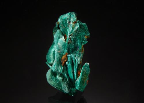 Malachite<br />Czar Mine, Copper Queen Mine, Queen Hill, Bisbee, Warren District, Mule Mountains, Cochise County, Arizona, USA<br />1.8 x 2.5 cm<br /> (Author: crosstimber)