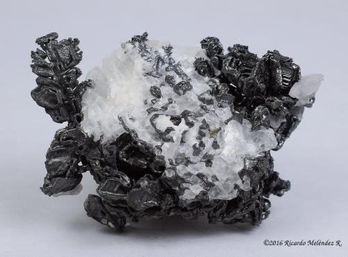 Acanthite, Calcite, Gold<br />Proaño Mine, Fresnillo de González Echeverría (Fresnillo), Municipio Fresnillo, Zacatecas, Mexico<br />4.7 x 3.5 x 2 centimeters<br /> (Author: Ricardo Melendez)