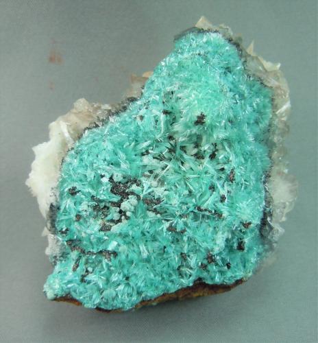 Aurichalcite and Calcite<br />Cole Mine (Cole shaft), Bisbee, Warren District, Mule Mountains, Cochise County, Arizona, USA<br />6.5cm x 5.5cm<br /> (Author: rweaver)