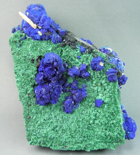 Azurite and Malachite<br />Silver Hill Mine group, Waterman District, Waterman Mountains, Pima County, Arizona, USA<br />7.0cm x 10.0cm<br /> (Author: rweaver)