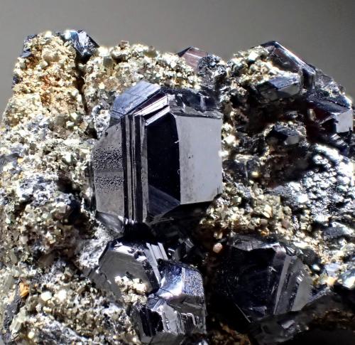 Sphalerite, Pyrite<br />Rodna Mountains, Maramures, Romania<br />80mm x 55mm x 50mm<br /> (Author: Don Lum)