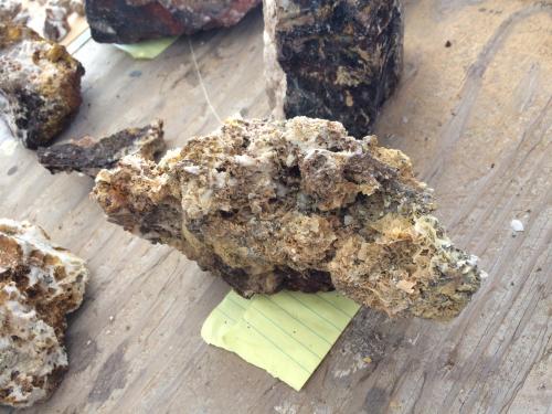 Wulfenite<br />Vulture Mine, Vulture Mountains, Vulture, Vulture District, Maricopa County, Arizona, USA<br />180 mm x 75 mm x 145 mm<br /> (Author: Robert Seitz)