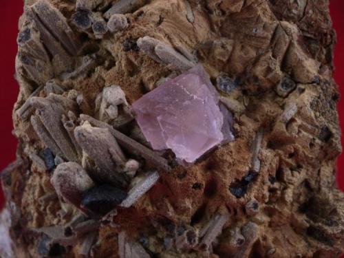 Fluorite, Genthelvite
Huanggang Mine, Keshiketeng Co, Chifeng Prefecture, Inner Mongolia, Autonomous Region, China
18 x 13.2 x 10.3 cm
Close-up (Author: Don Lum)