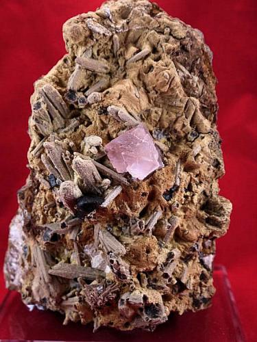 Fluorite, Genthelvite
Huanggang Mine, Keshiketeng Co, Chifeng Prefecture, Inner Mongolia, Autonomous Region, China
18 x 13.2 x 10.3 cm (Author: Don Lum)