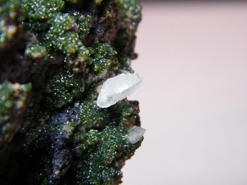Arsentsumebite and Mottramite<br />Tsumeb Mine, Tsumeb, Otjikoto Region, Namibia<br />72mm x 106mm x 56mm<br /> (Author: Heimo Hellwig)