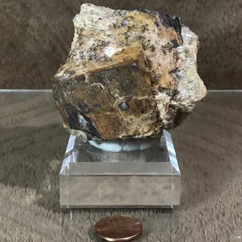 Goethite after Pyrite<br />Mina Fat Jack, Monte Lane, Crown King, Distrito Pine Grove, Montes Bradshaw, Condado Yavapai, Arizona, USA<br />7cm<br /> (Author: TripleRoyale)