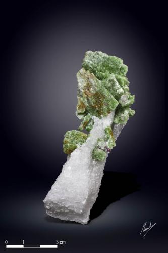 Pargasite<br />Luc Yen, Provincia Yenbai, Vietnam<br />98 x 43 mm<br /> (Author: Manuel Mesa)