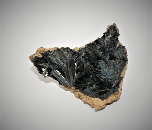 Vivianite<br />Península Kerch, Península Crimea, Crimea Oblast, Rusia<br />70mm x 50mm x 20mm<br /> (Author: Philippe Durand)