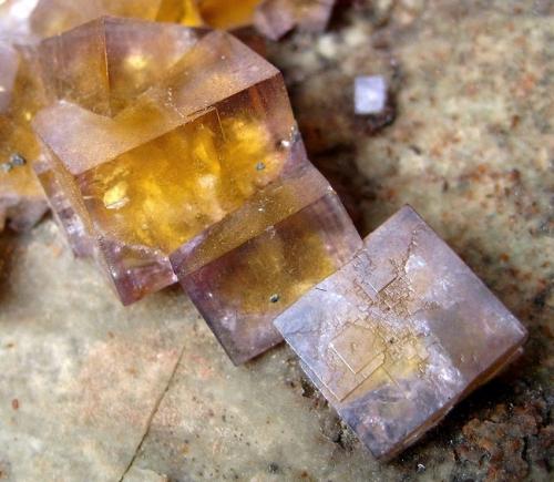 Fluorite, Chalcopyrite<br />Malwine Mine, Bergmännisch Glück Flacher vein, Wismut shaft 29b, Frohnau, Annaberg-Buchholz, Annaberg District, Erzgebirgskreis, Saxony/Sachsen, Germany<br />FOV 3 cm<br /> (Author: Tobi)