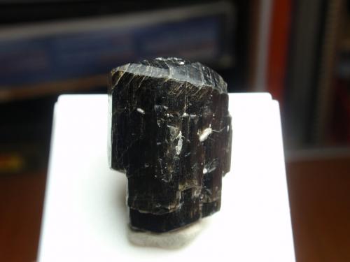 Fluoro-richterita<br />Wilberforce area, Haliburton County, Ontario, Canada<br />18x24 mm<br /> (Autor: Ignacio)