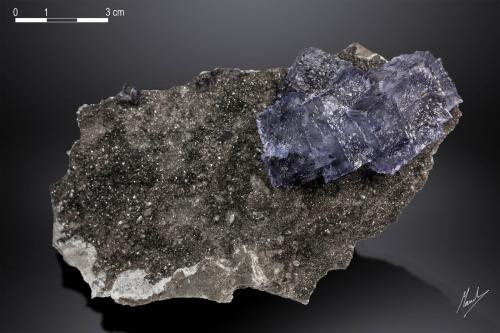 Fluorite<br />Elmwood Mine, Carthage, Central Tennessee Ba-F-Pb-Zn District, Smith County, Tennessee, USA<br />139 x 80 mm<br /> (Author: Manuel Mesa)