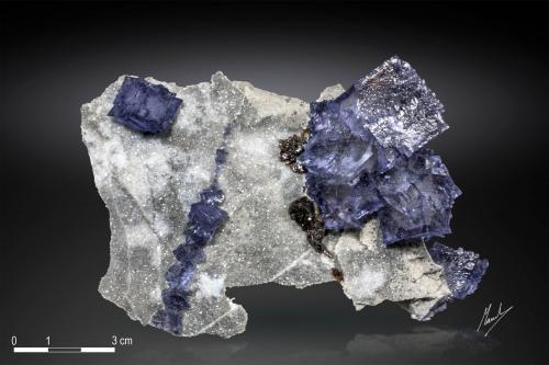 Fluorite and Sphalerite<br />Elmwood Mine, Carthage, Central Tennessee Ba-F-Pb-Zn District, Smith County, Tennessee, USA<br />126 X 73 mm<br /> (Author: Manuel Mesa)