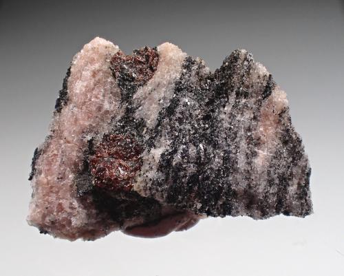 Gneiss, Garnet (Group)<br />Bissett Creek Mine, Maria Township, Renfrew County, Ontario, Canada<br />28.4mm x 21.3mm x 6.6mm<br /> (Author: Don Lum)