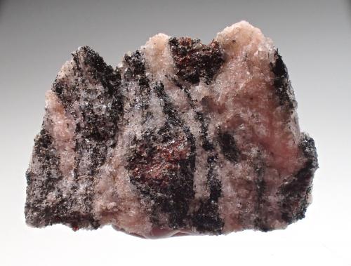 Gneiss, Garnet (Group)<br />Bissett Creek Mine, Maria Township, Renfrew County, Ontario, Canada<br />28.4mm x 21.3mm x 6.6mm<br /> (Author: Don Lum)