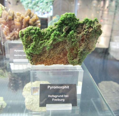 Pyromorphite<br />Hofsgrund, Schauinsland mining district, Black Forest, Baden-Württemberg, Germany<br />Specimen size ~ 10 cm<br /> (Author: Tobi)