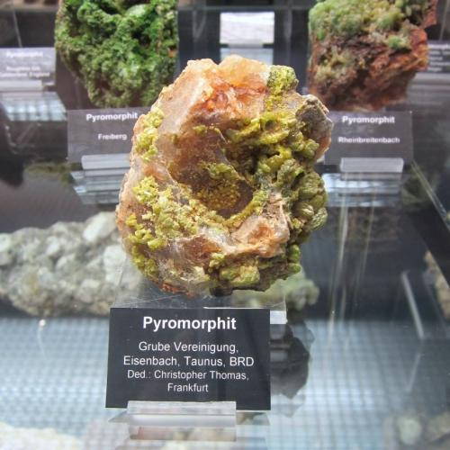 Pyromorphite<br />Mina Vereinigung, Eisenbach, Bad Camberg, Limburg-Weilburg, Región Gießen, Hesse/Hessen, Alemania<br />Specimen size ~ 7 cm<br /> (Author: Tobi)