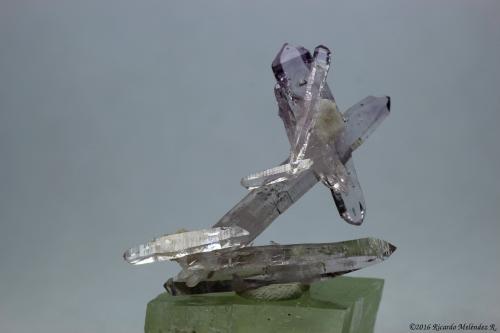 Quartz (variety Amethyst)<br />Cerro de la Concordia, Piedra Parada (Las Vigas), Municipio Tatatila, Veracruz (Veracruz de Ignacio de la Llave), Mexico<br />3.1 x 3.8 x 1 centimeters<br /> (Author: Ricardo Melendez)