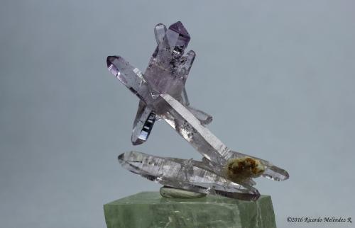 Quartz (variety Amethyst)<br />Cerro de la Concordia, Piedra Parada (Las Vigas), Municipio Tatatila, Veracruz (Veracruz de Ignacio de la Llave), México<br />3.1 x 3.8 x 1 centimeters<br /> (Author: Ricardo Melendez)