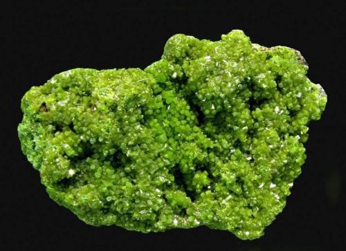 Pyromorphite<br />Münstertal, Distrito Breisgau-Hochschwarzwald, Freiburg, Baden-Württemberg, Alemania<br />Specimen size: 5.6 × 3.9 × 2.3 cm / Main crystal size: 0.2 × 0.1 cm<br /> (Author: Jordi Fabre)