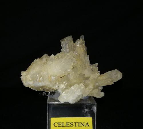 Celestina<br />Yacimiento Barranco del Mulo, Barranco del Mulo, Ulea, Comarca Valle de Ricote, Región de Murcia (Murcia), España<br />6cm x 4cm<br /> (Autor: srm13151)