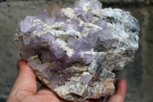 Fluorite<br />El Filo vein, Santa Librada, Municipio Mapimí, Durango, Mexico<br />14 x 10 x 7.7 centimeters<br /> (Author: Ricardo Melendez)