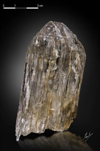 Spodumene<br />Mawi Pegmatite, Nilaw-Kolum, Du Ab District, Nuristan Province, Afghanistan<br />102 x 47 mm<br /> (Author: Manuel Mesa)