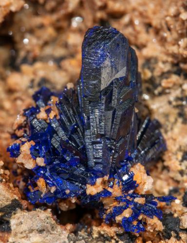 Azurite on Dolomite<br />Cantera Schmitt, Altenmittlau, Freigericht, Distrito Main-Kinzig-Kreis, Spessart, Hesse/Hessen, Alemania<br />Main crystal size: 1.2 × 0.4 cm<br /> (Author: Jordi Fabre)