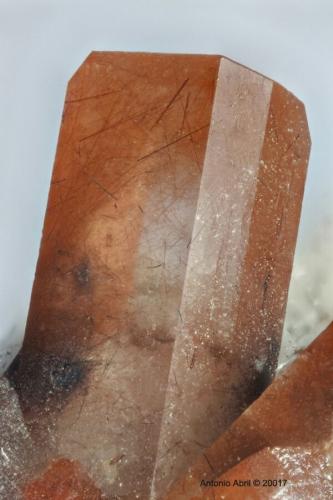 Topacio y Rutilo<br />Tepetate, Municipio Villa de Arriaga, San Luis Potosí, Mexico<br />1,5 cm<br /> (Autor: Antonio Alcaide)