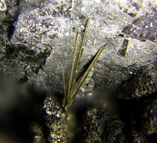 Millerita sobre Niquelskutterudita<br />Cala Mines, Cala, Comarca Sierra de Huelva, Huelva, Andalusia, Spain<br />Campo de visión de 1,6 mm<br /> (Autor: Antonio Carmona)