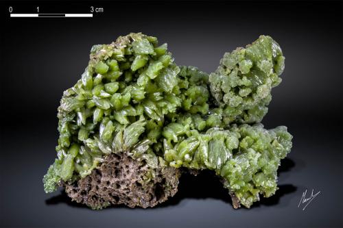 Pyromorphite<br />Daoping Mine, Gongcheng, Guilin Prefecture, Guangxi Zhuang Autonomous Region, China<br />90 X 57 mm<br /> (Author: Manuel Mesa)