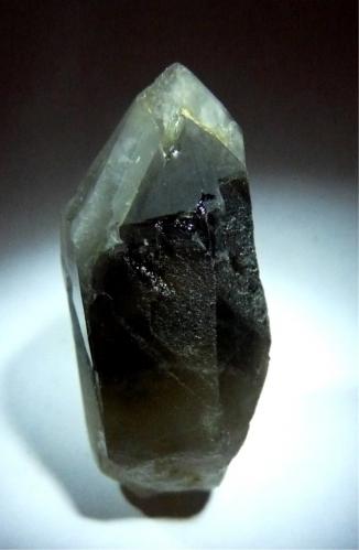 Cuarzo (variedad ahumado)<br />Pedrera Mas Sever, Massabè (Mas Ceber), Sils, Comarca La Selva, Gerona / Girona, Cataluña / Catalunya, España<br />55x25 mm<br /> (Autor: Jesus Franquesa Baucells)