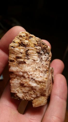 Albita en Microclina<br />Mas Sever Quarry, Massabè (Mas Ceber), Sils, Comarca La Selva, Gerona / Girona, Catalonia / Catalunya, Spain<br />6 cm x 3 cm<br /> (Autor: Iwok)
