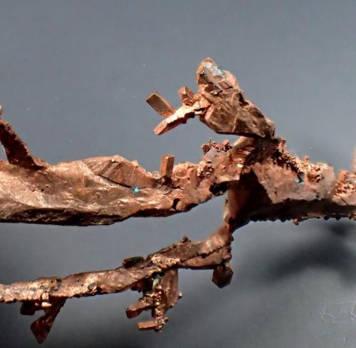 Copper<br />White Pine Mine, White Pine, Ontonagon County, Michigan, USA<br />124mm x 48mm x 10mm<br /> (Author: Don Lum)