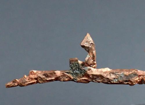 Copper<br />White Pine Mine, White Pine, Ontonagon County, Michigan, USA<br />124mm x 48mm x 10mm<br /> (Author: Don Lum)