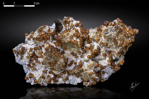 Spessartine and Quartz<br />Catas Spessartina Wushan, Tongbei, Yunxiao, Prefectura Zhangzhou, Provincia Fujian, China<br />126 X 67 mm<br /> (Author: Manuel Mesa)