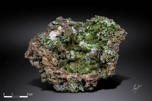 Pyromorphite<br />Daoping Mine, Gongcheng, Guilin Prefecture, Guangxi Zhuang Autonomous Region, China<br />131 X 104 mm<br /> (Author: Manuel Mesa)