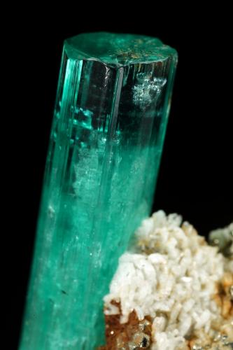 Beryl (variety emerald), Albite (variety cleavelandite), Pyrite<br />Chivor mining district, Palo Arañado Mine, Municipio Chivor, Eastern Emerald Belt, Boyacá Department, Colombia<br />crystal=45mm<br /> (Author: Fiebre Verde)