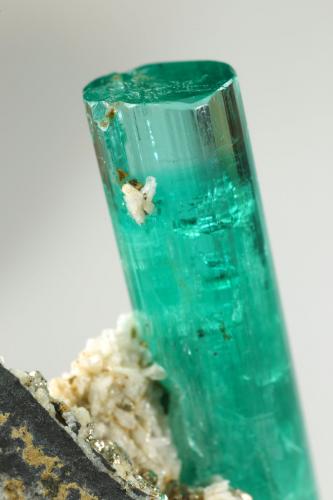 Beryl (variety emerald), Albite (variety cleavelandite), Pyrite<br />Chivor mining district, Palo Arañado Mine, Municipio Chivor, Eastern Emerald Belt, Boyacá Department, Colombia<br />crystal=45mm<br /> (Author: Fiebre Verde)