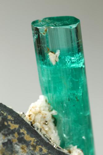 Beryl (variety emerald), Albite (variety cleavelandite), Pyrite<br />Chivor mining district, Palo Arañado Mine, Municipio Chivor, Eastern Emerald Belt, Boyacá Department, Colombia<br />crystal=45mm<br /> (Author: Fiebre Verde)