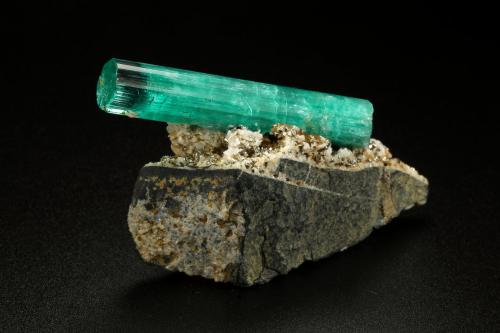 Beryl (variety emerald), Albite (variety cleavelandite), Pyrite<br />Chivor mining district, Palo Arañado Mine, Municipio Chivor, Eastern Emerald Belt, Boyacá Department, Colombia<br />crystal=45mm<br /> (Author: Fiebre Verde)