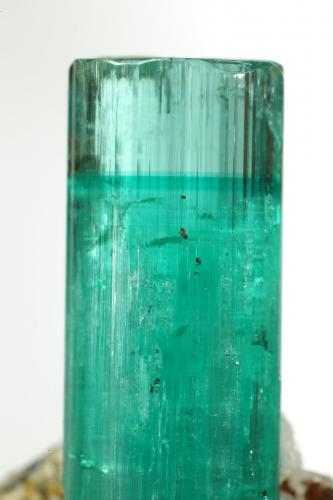 Beryl (variety emerald), Albite (variety cleavelandite), Pyrite<br />Chivor mining district, Palo Arañado Mine, Municipio Chivor, Eastern Emerald Belt, Boyacá Department, Colombia<br />crystal=45mm<br /> (Author: Fiebre Verde)