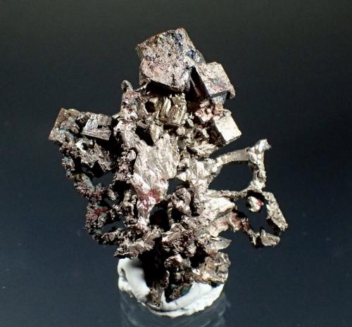 Silver<br />White Pine Mine, White Pine, Ontonagon County, Michigan, USA<br />46mm x 44mm x 9.5mm<br /> (Author: Don Lum)