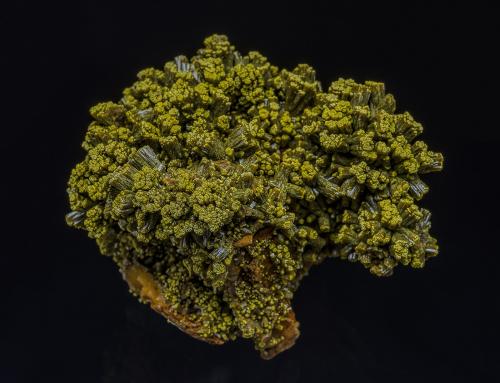 Pyromorphite<br />Les Farges Mine (Des Farges Mine), Ussel, Corrèze, Nouvelle-Aquitaine, France<br />5.7 x 4.3 cm<br /> (Author: am mizunaka)