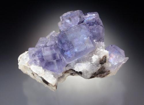 Fluorite, Quartz<br />La Viesca Mine, <i>Reguerín II</i> pocket, La Collada mining area, Huergo, Siero, Comarca Oviedo, Principality of Asturias (Asturias), Spain<br />8x5x5 cm overall size<br /> (Author: Jesse Fisher)