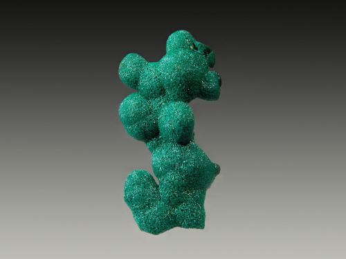 Malachite<br />L'Etoile du Congo Mine, Lubumbashi (Elizabethville), Katanga Copper Crescent, Haut-Katanga (Shaba), Democratic Republic of the Congo (Zaire)<br />1.2 x 2.9 cm<br /> (Author: crosstimber)
